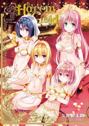 Artbook Libro Ilustraciones To Love-ru Darkness Venus Tienda Figuras Anime Chile Santiago