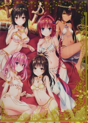 96095179-56D0-46BF-BC0E-9201FF211358 Artbook Libro Ilustraciones To Love-ru Darkness Venus Tienda Figuras Anime Chile Santiago