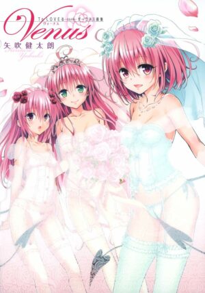Artbook Libro Ilustraciones To Love-ru Darkness Venus Tienda Figuras Anime Chile Santiago