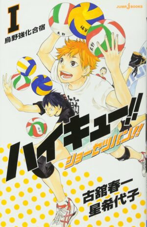 Novela Ligera Haikyuu Japonés Tienda Figuras Anime Chile Santiago
