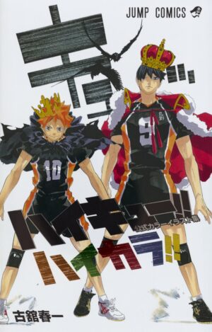 Haikara Haikyuu Illustration Book Libro Ilustración Tienda Figuras Anime Chile Santiago