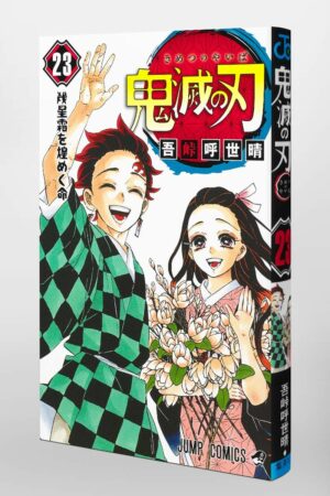 Manga Kimetsu no Yaiba Demon Slayer Chile Japonés Tienda Anime Mangas Santiago