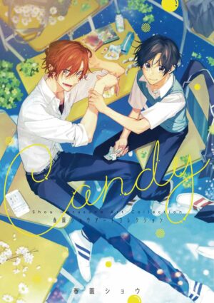 Artbook Candy Shou Harusono Art Collection Chile