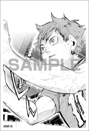 Haikyuu!! 10th Chronicle Book Chile