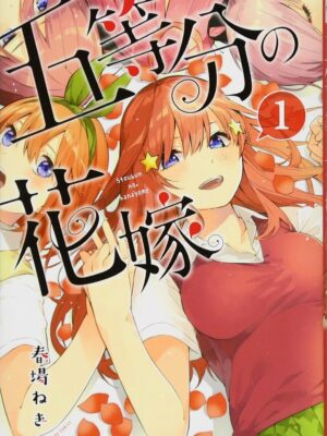 Manga Hanayome Japonés Tomo 1 Chile
