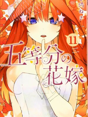 Manga Hanayome Japonés Tomo 11 Chile