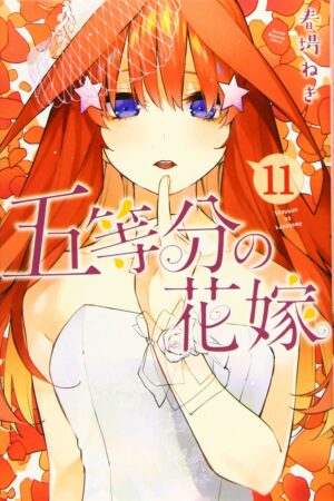 Manga Hanayome Japonés Tomo 11 Chile