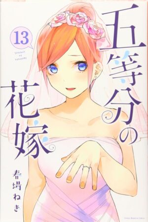 Manga Hanayome Japonés Tomo 13 Chile