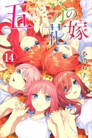 Manga Hanayome Japonés Tomo 14 Chile