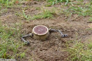 Nendoroid Alexander Elden Ring Max Factory Tienda Figuras Anime Chile