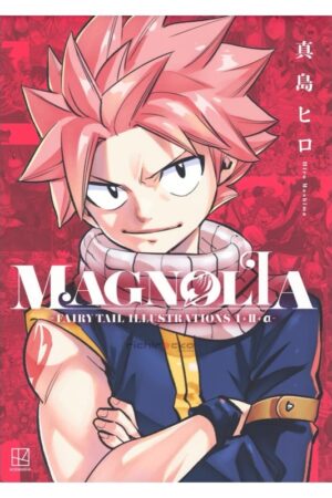 Artbook Libro Arte MAGNOLIA FAIRY TAIL ILLUSTRATIONS 1+2+α- Tienda Anime Chile