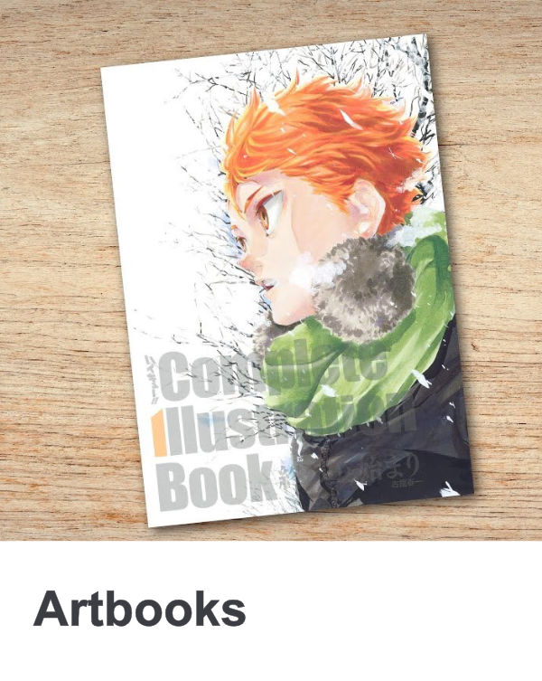 Artbook Libro Arte Anime Manga Tienda Chile